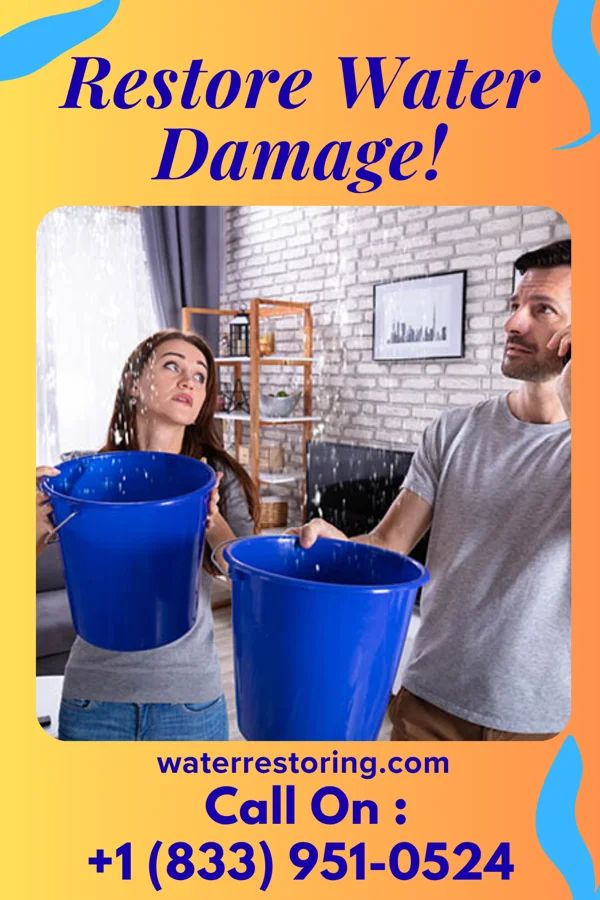 water restoration National Flood Damage Services Sauk Centre