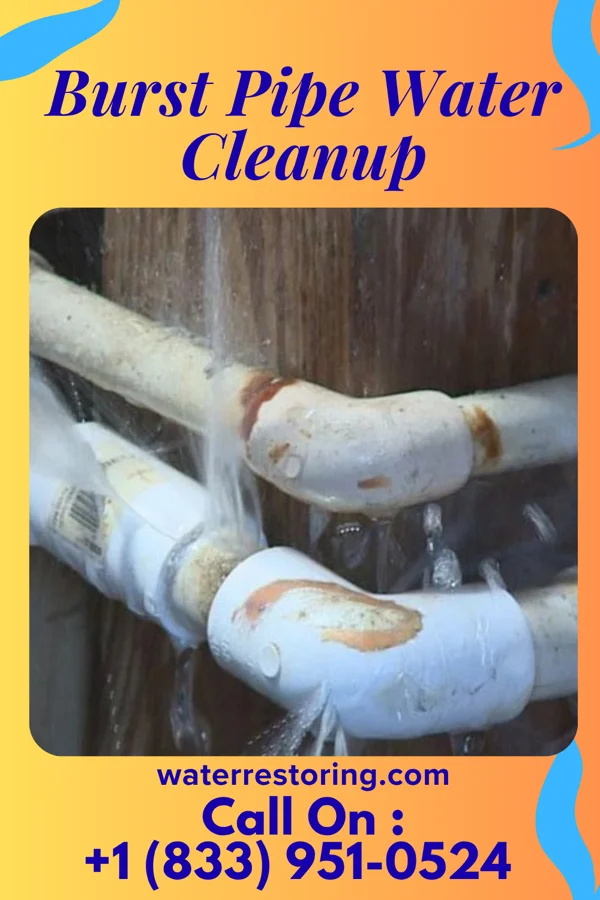Burst Pipe Water Cleanup in Sauk Centre, MN