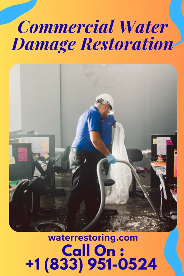 Commercial Water Damage Restoration in Sauk Centre, MN