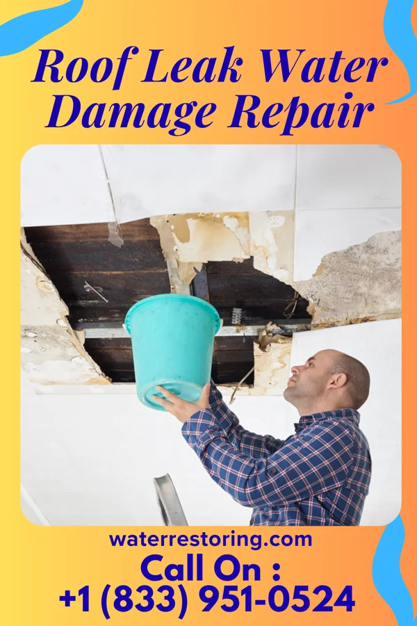Roof Leak Water Damage Repair in Sauk Centre, MN